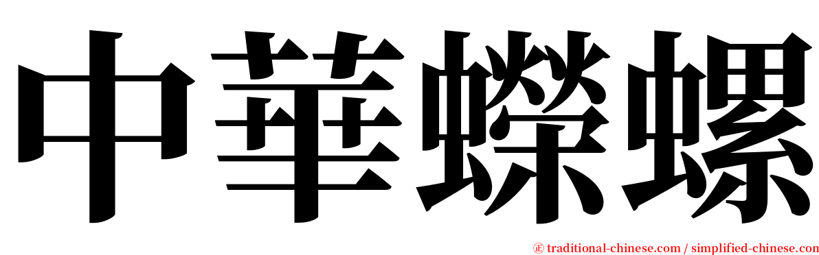 中華蠑螺 serif font