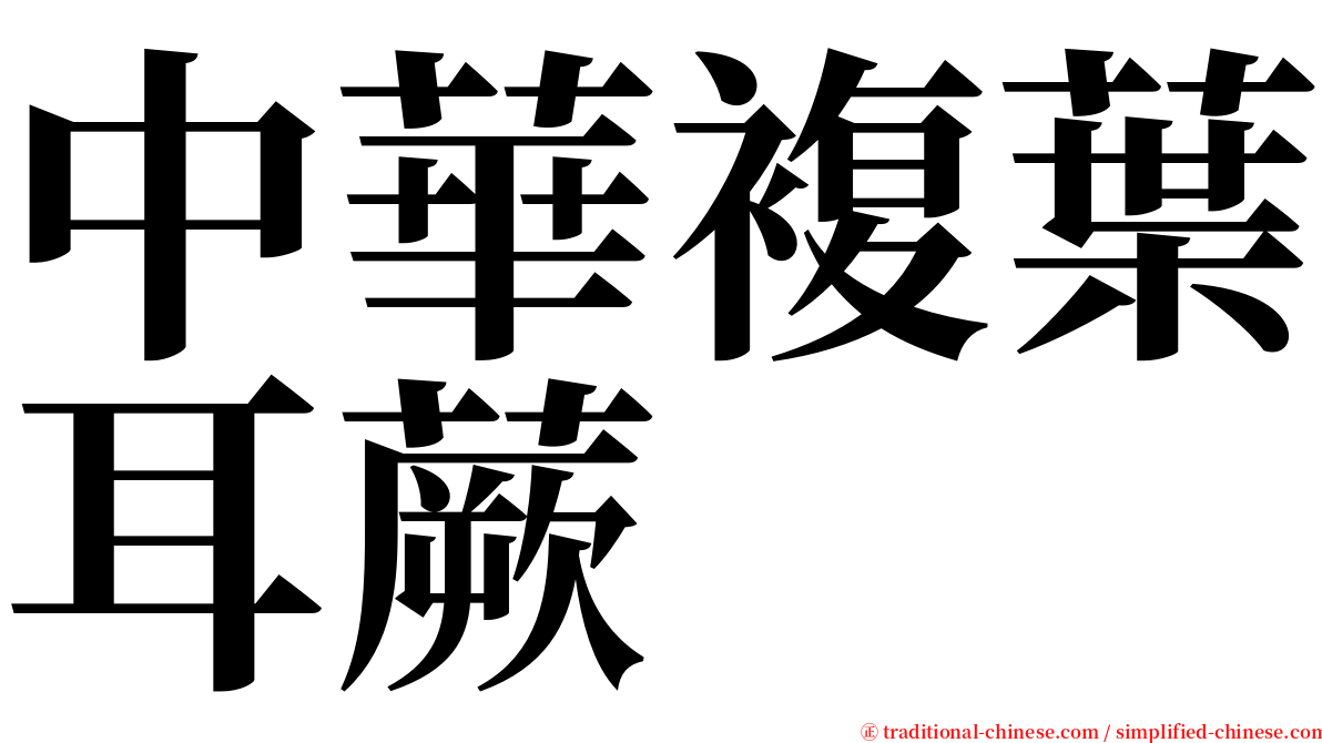 中華複葉耳蕨 serif font