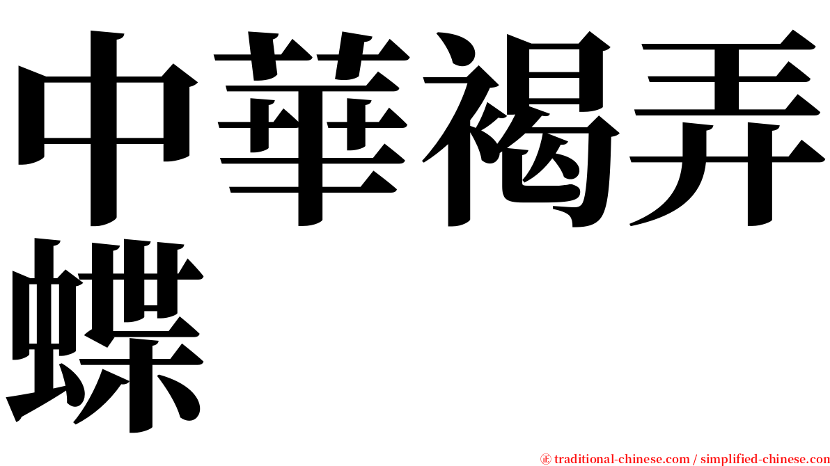 中華褐弄蝶 serif font