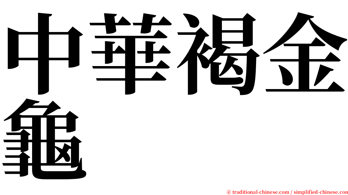 中華褐金龜 serif font