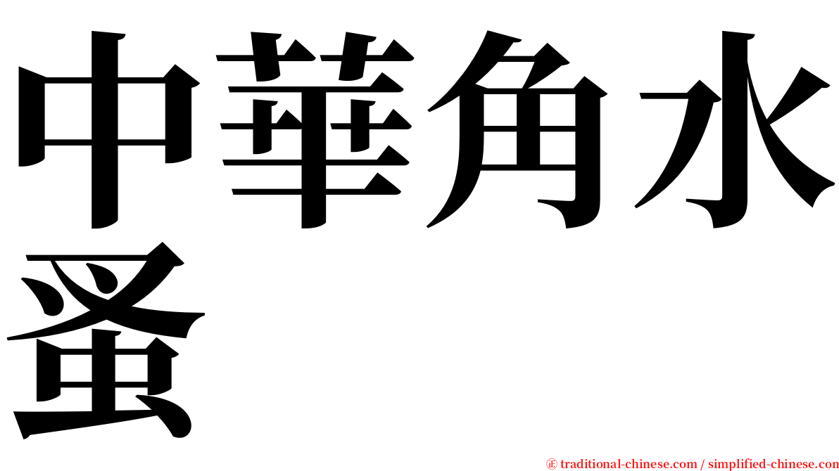 中華角水蚤 serif font