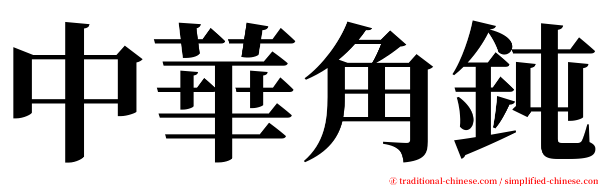 中華角鈍 serif font