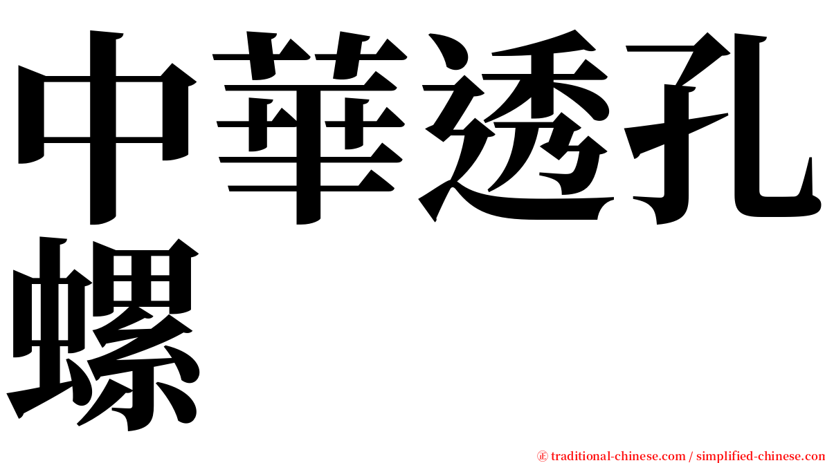 中華透孔螺 serif font