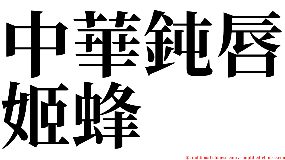 中華鈍唇姬蜂 serif font