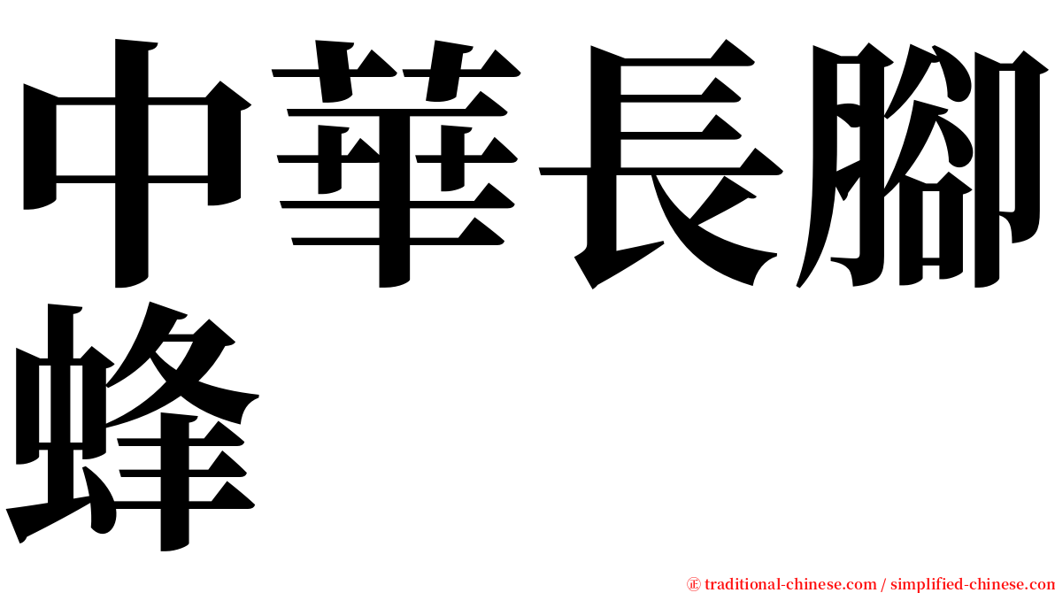 中華長腳蜂 serif font
