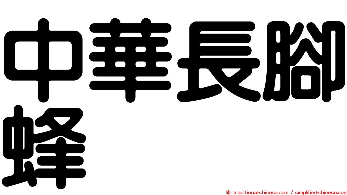 中華長腳蜂