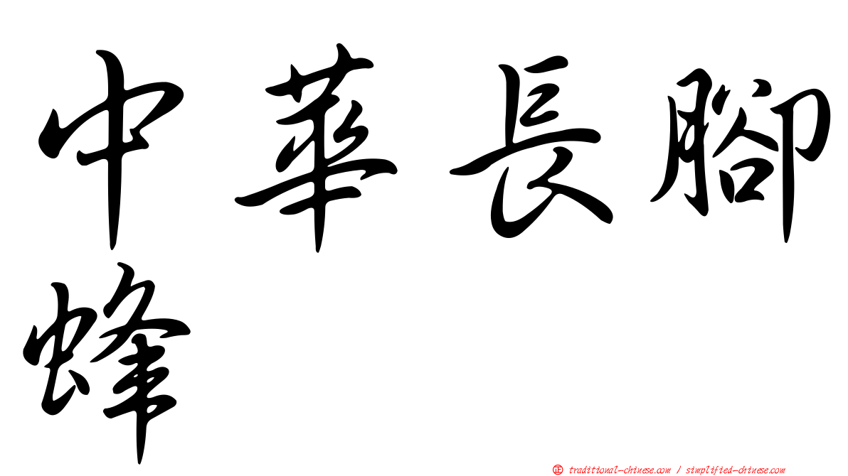 中華長腳蜂