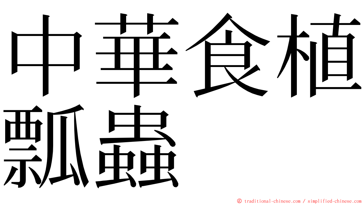 中華食植瓢蟲 ming font