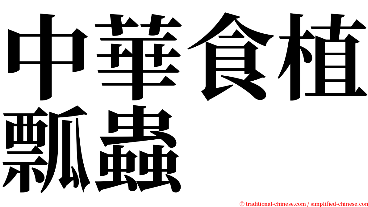 中華食植瓢蟲 serif font