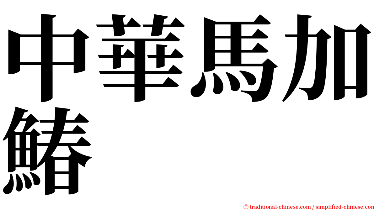 中華馬加鰆 serif font