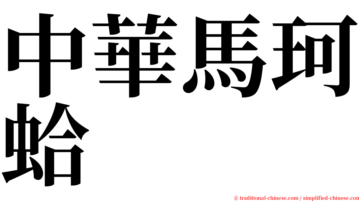 中華馬珂蛤 serif font