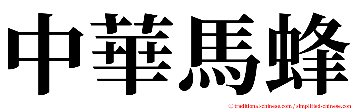 中華馬蜂 serif font