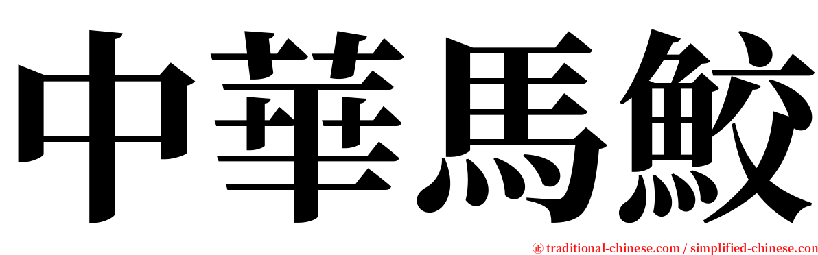 中華馬鮫 serif font