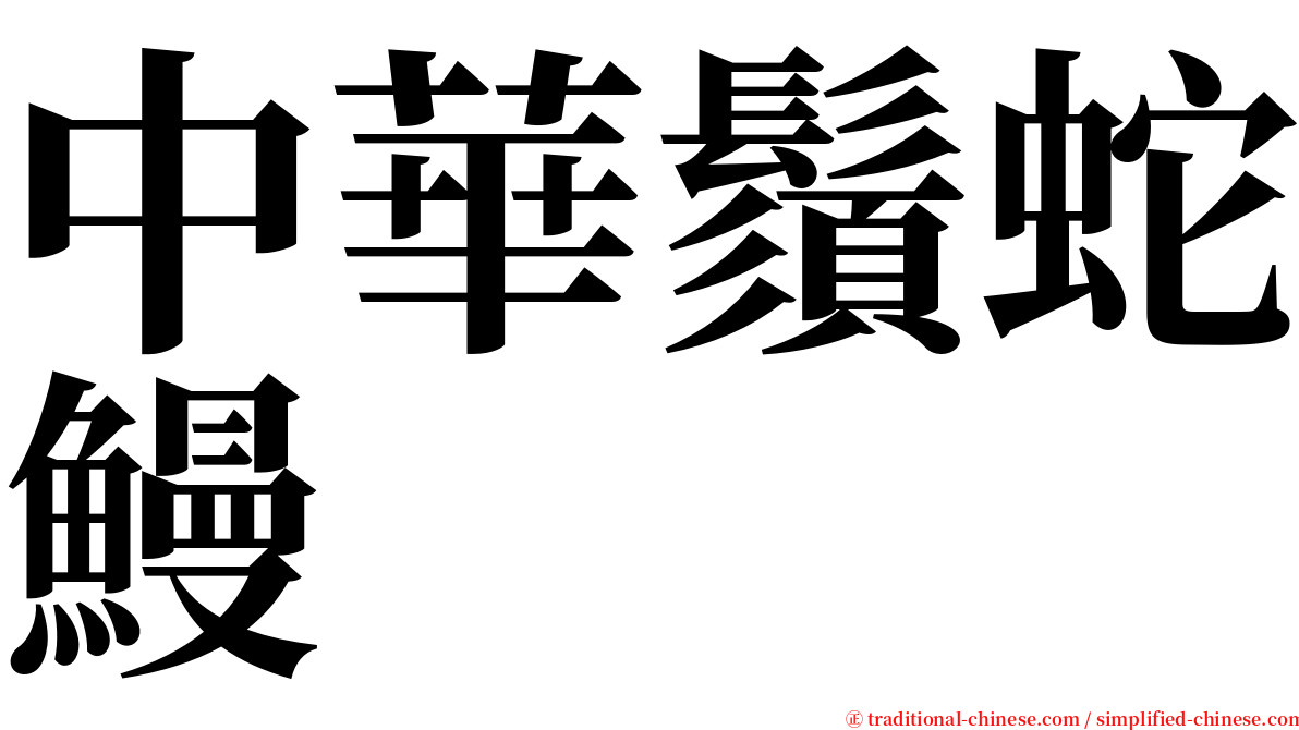 中華鬚蛇鰻 serif font