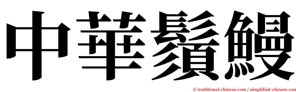 中華鬚鰻 serif font