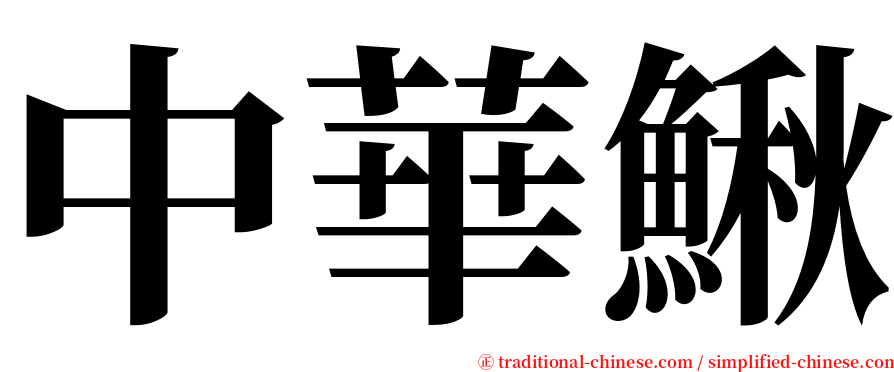 中華鰍 serif font