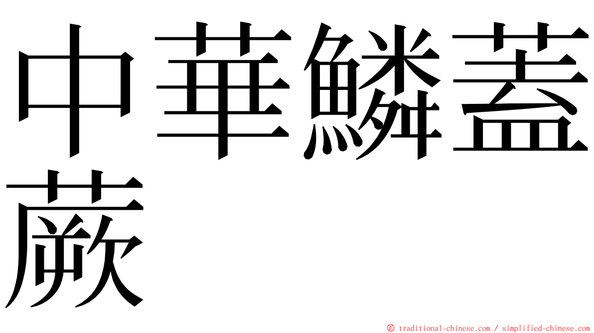 中華鱗蓋蕨 ming font