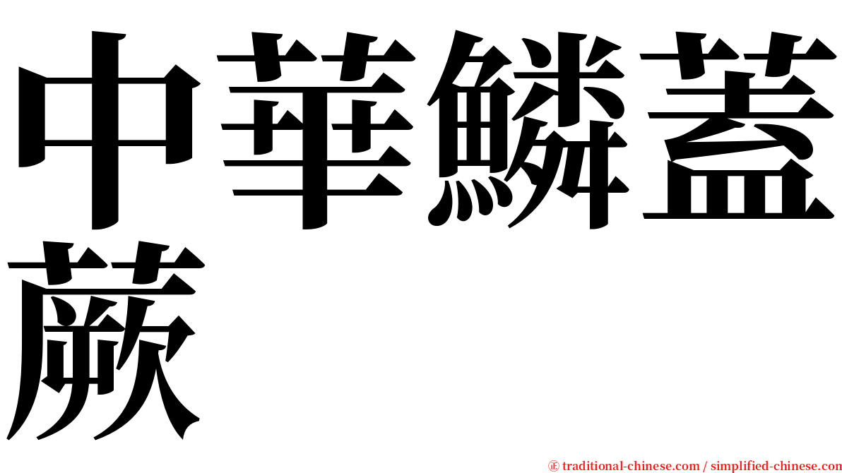 中華鱗蓋蕨 serif font