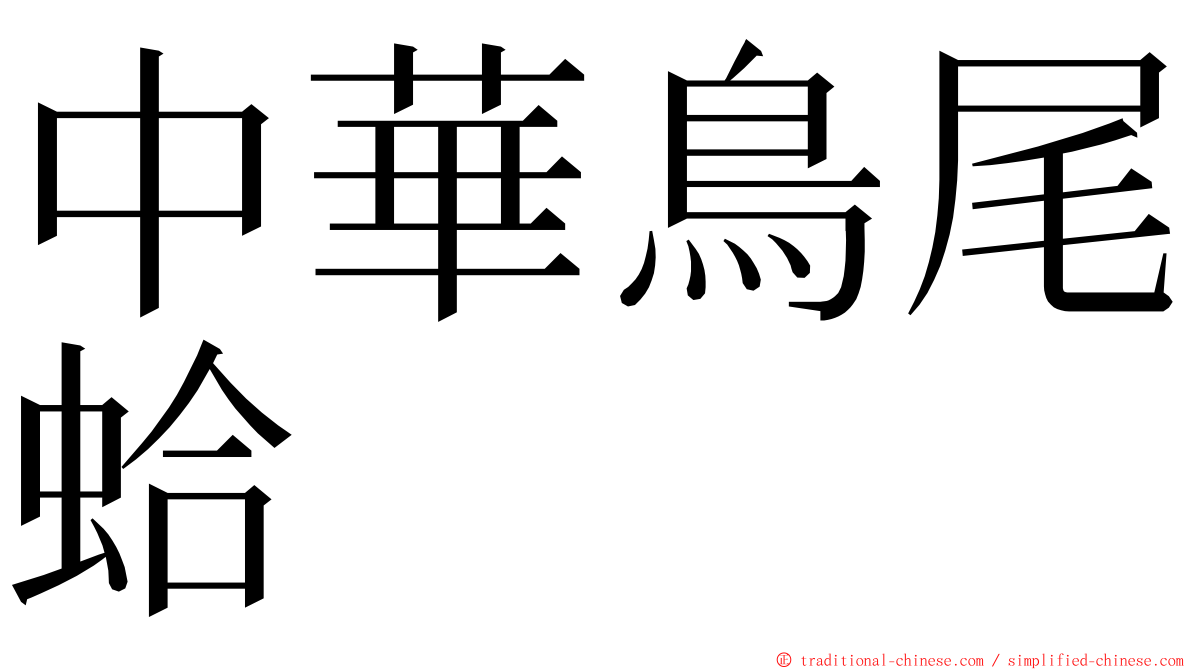 中華鳥尾蛤 ming font