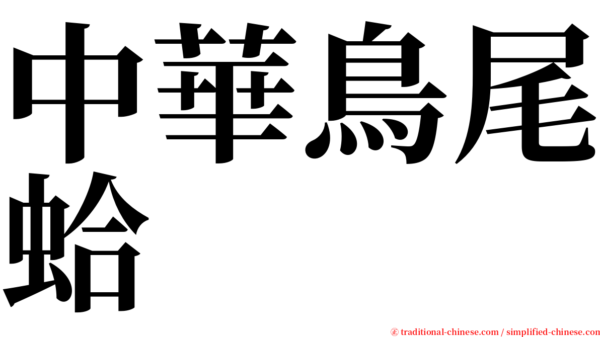 中華鳥尾蛤 serif font