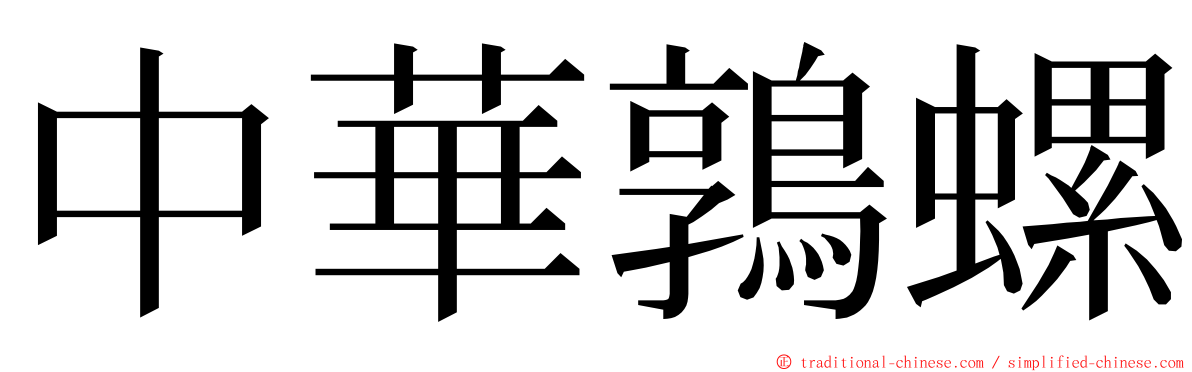 中華鶉螺 ming font