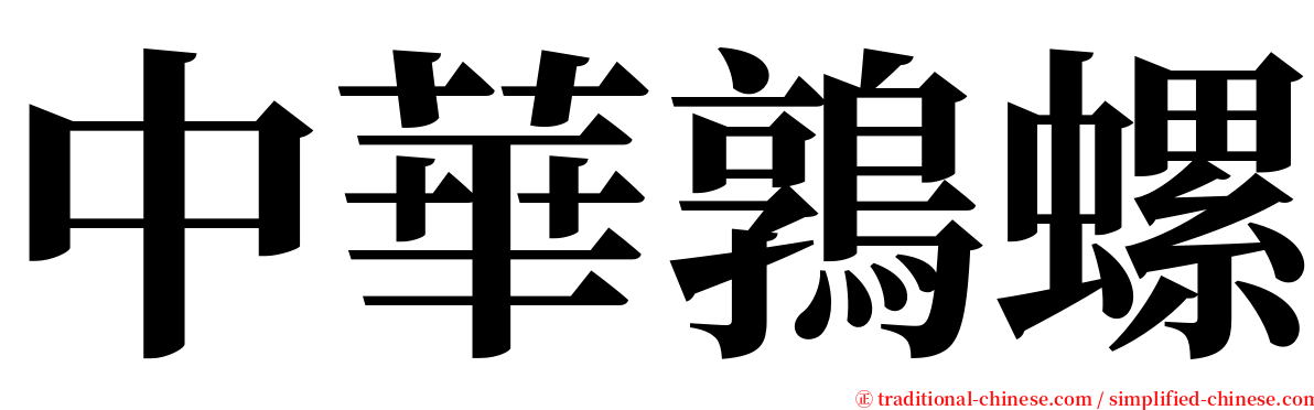 中華鶉螺 serif font