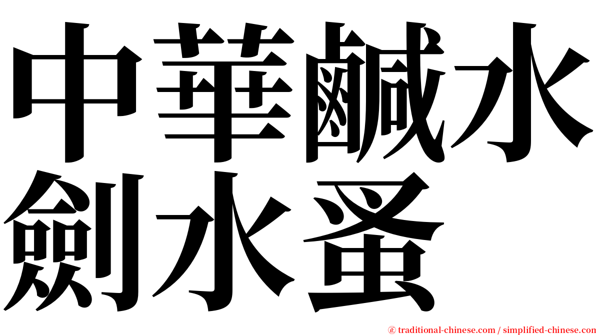 中華鹹水劍水蚤 serif font