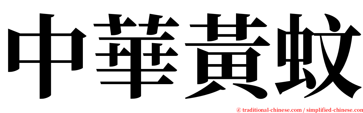 中華黃蚊 serif font