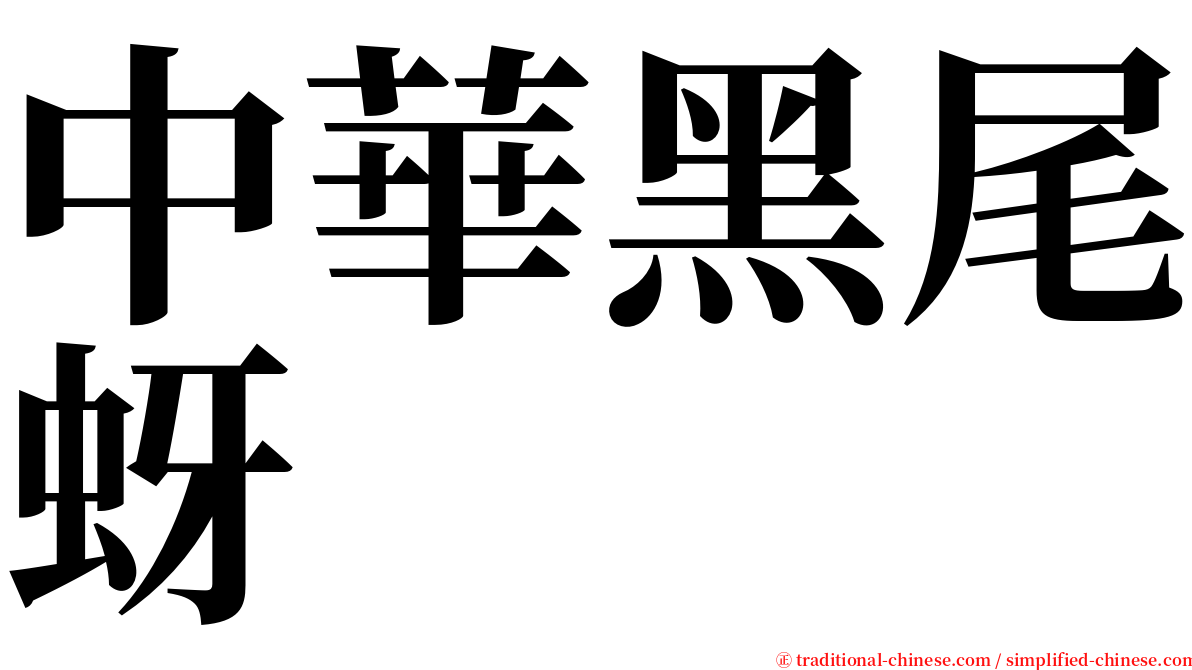 中華黑尾蚜 serif font