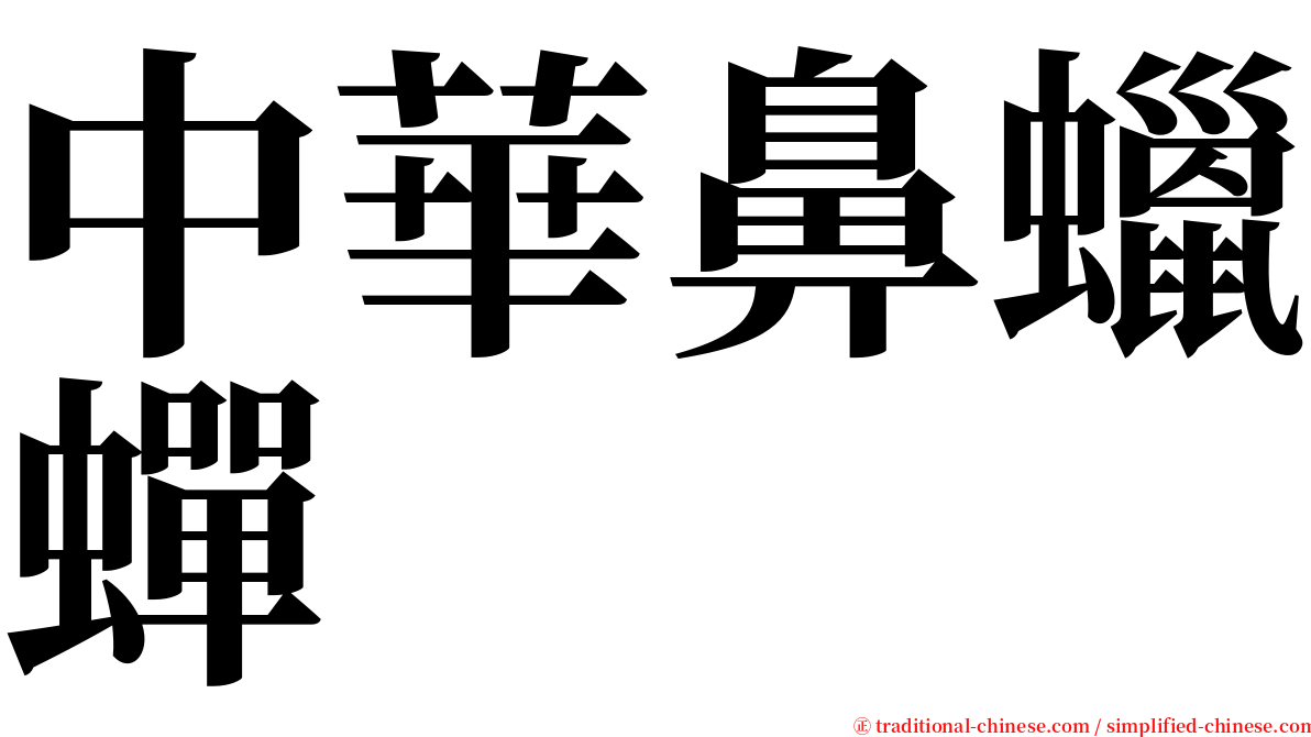 中華鼻蠟蟬 serif font