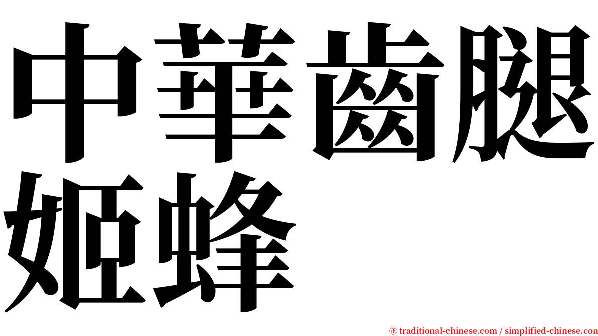 中華齒腿姬蜂 serif font