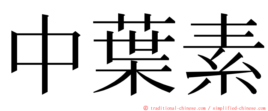 中葉素 ming font