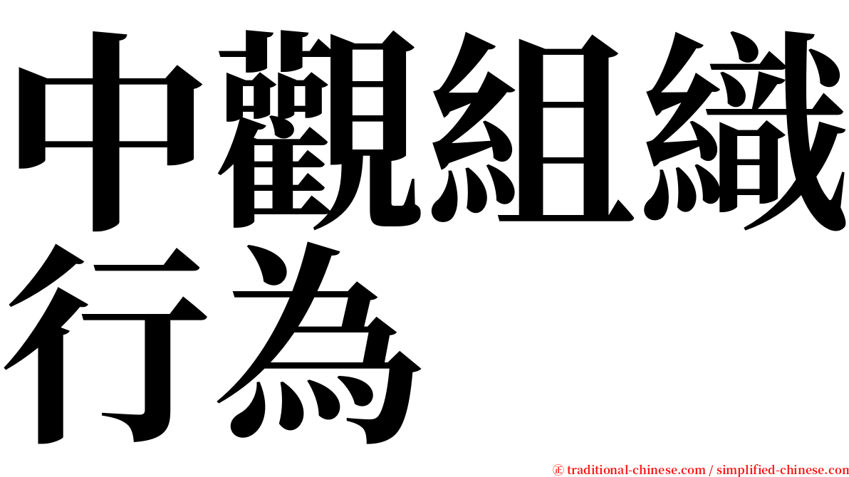 中觀組織行為 serif font