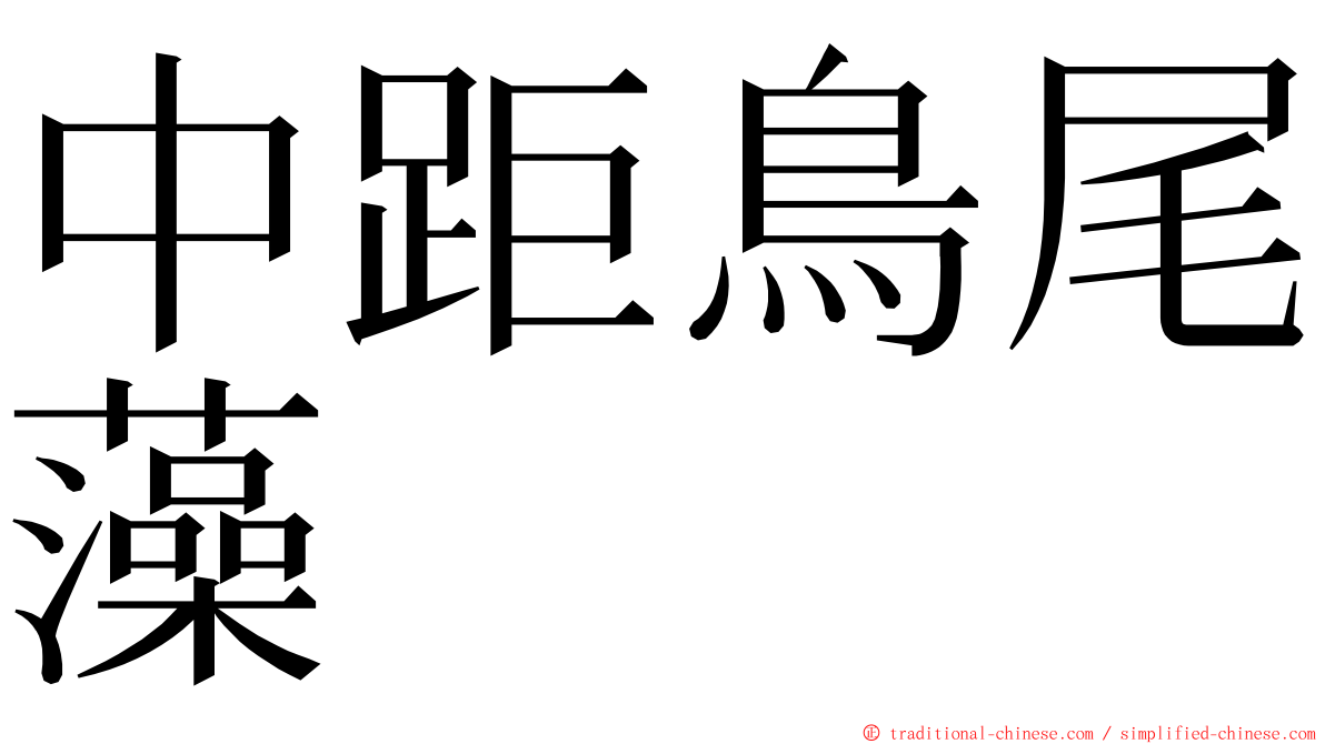 中距鳥尾藻 ming font