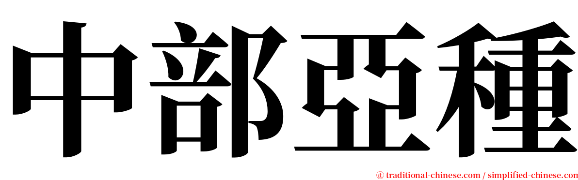 中部亞種 serif font