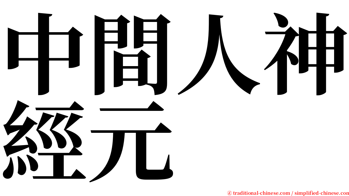 中間人神經元 serif font