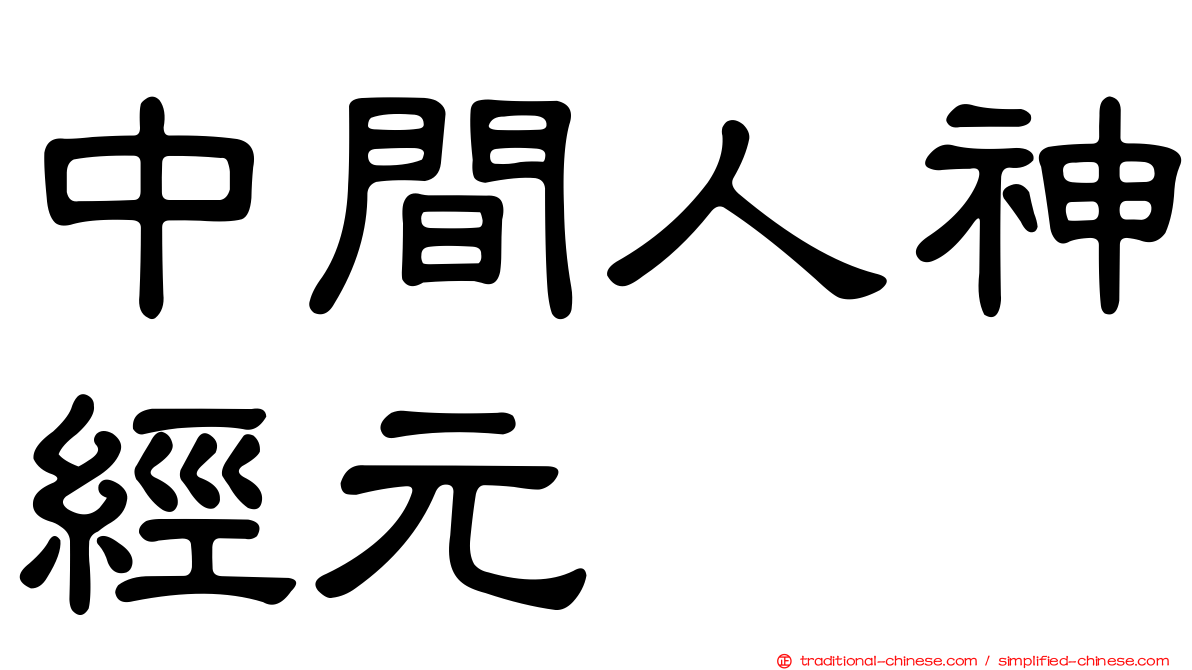 中間人神經元