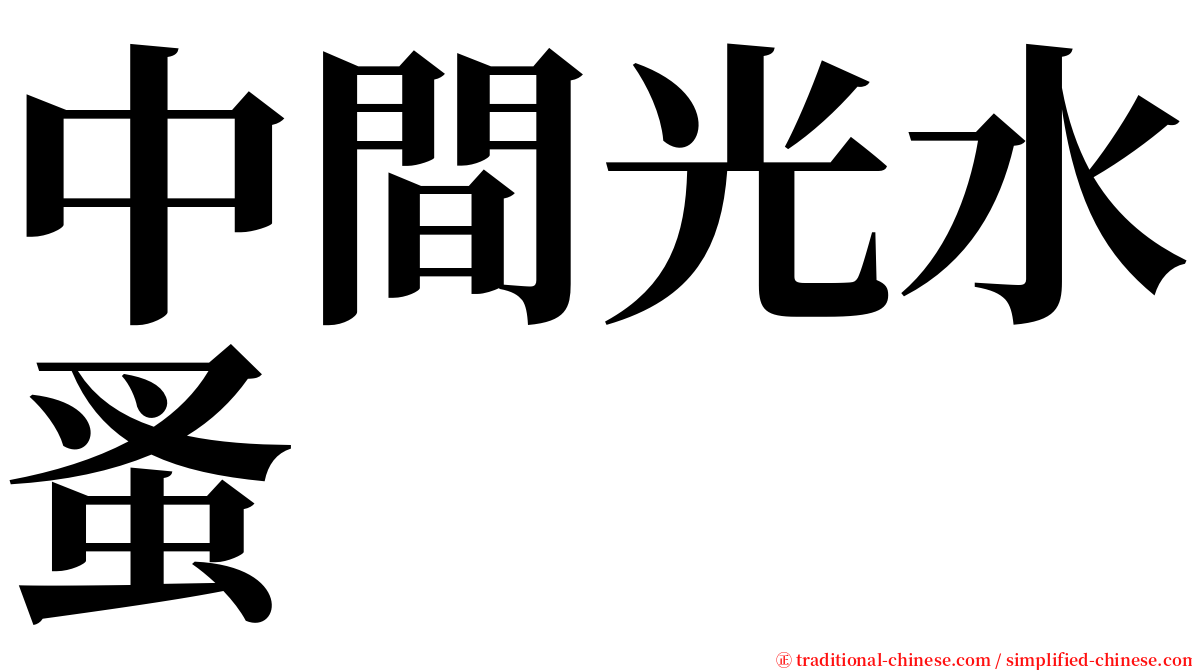 中間光水蚤 serif font