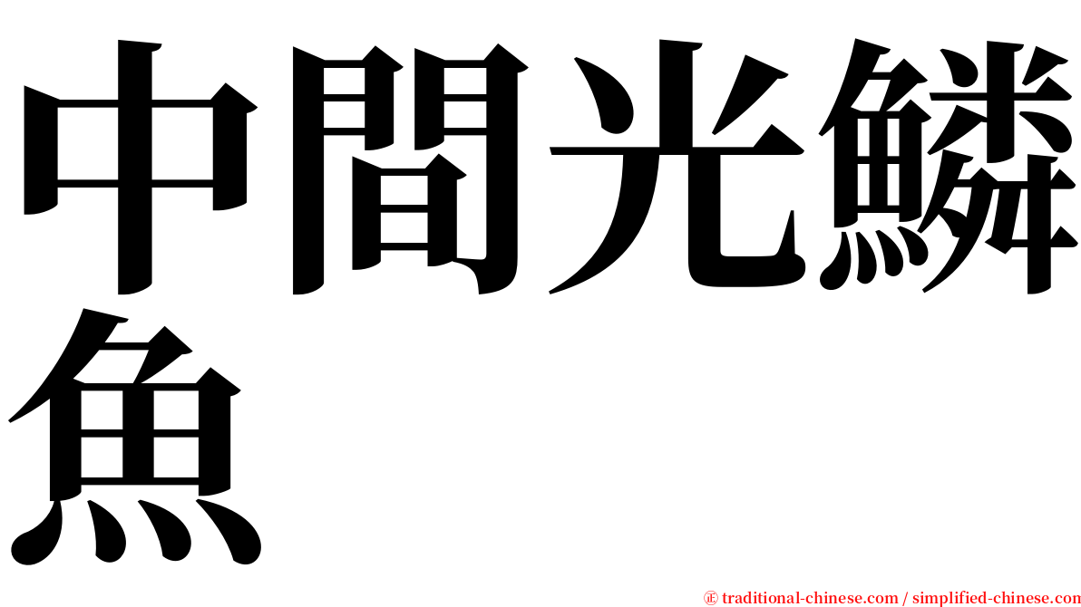 中間光鱗魚 serif font