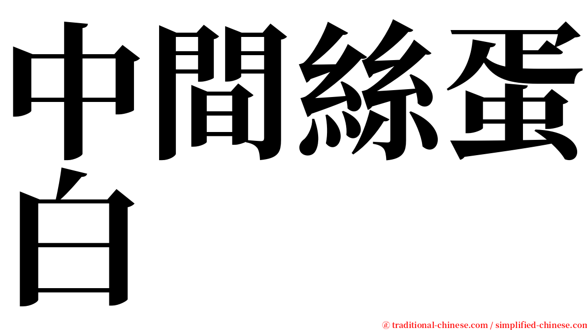 中間絲蛋白 serif font