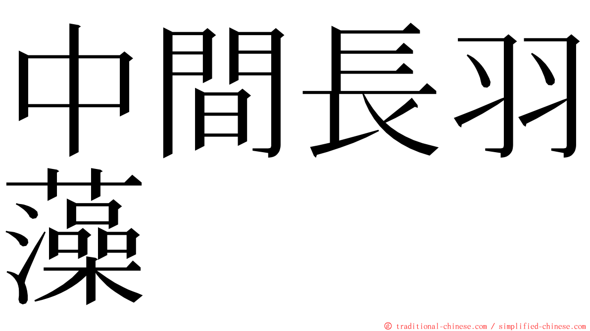 中間長羽藻 ming font