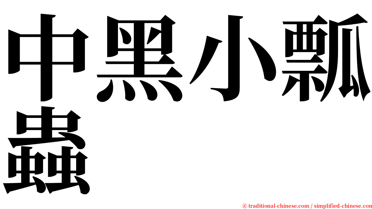中黑小瓢蟲 serif font
