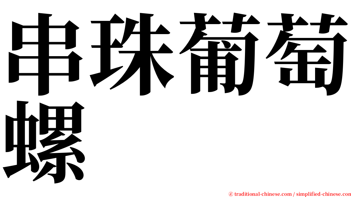 串珠葡萄螺 serif font