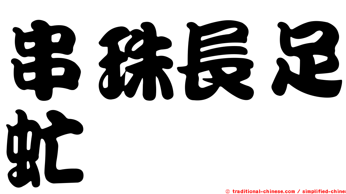 串珠長足虻