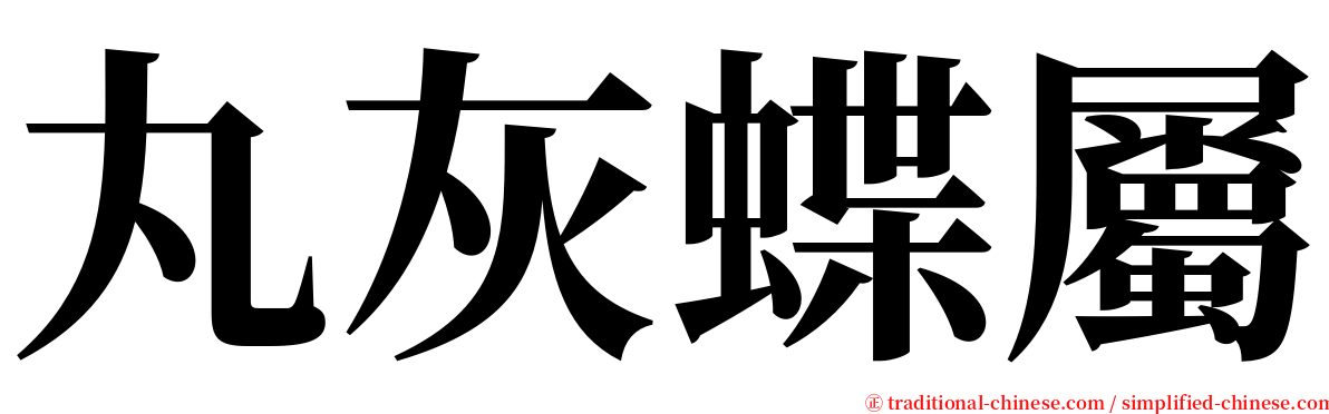 丸灰蝶屬 serif font