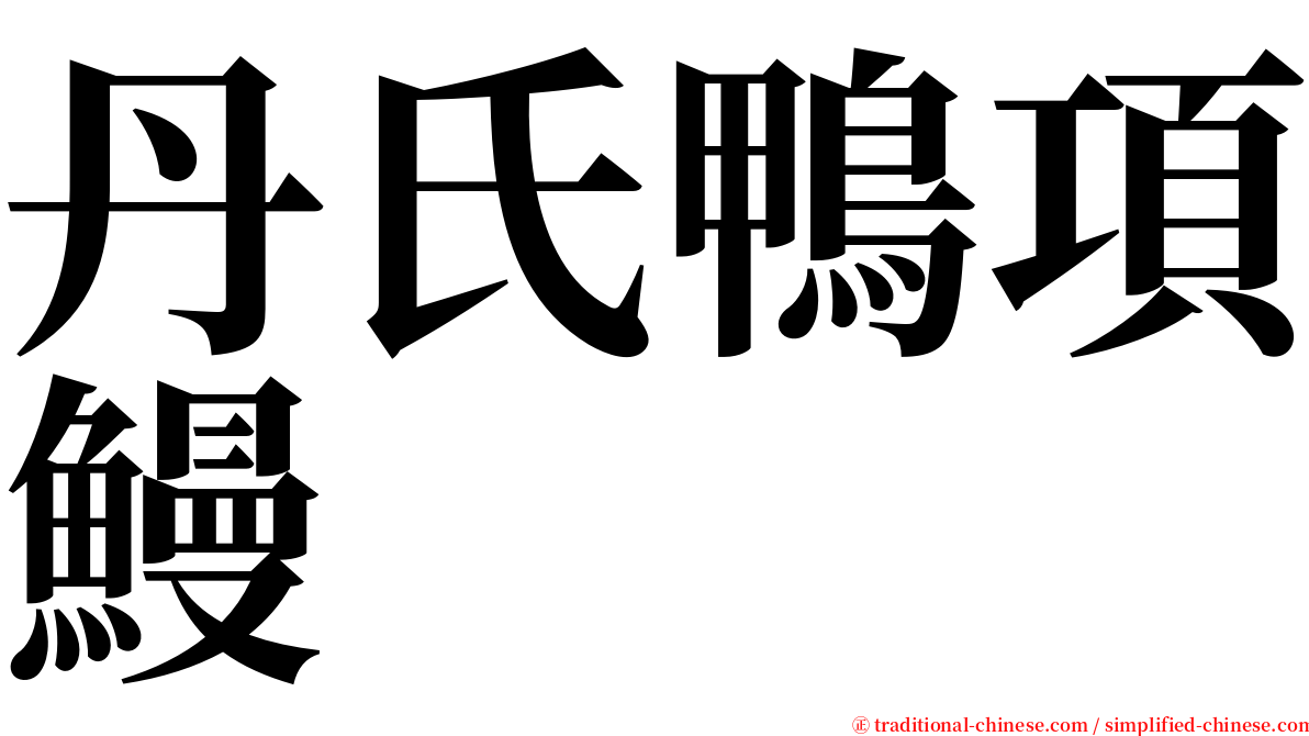 丹氏鴨項鰻 serif font