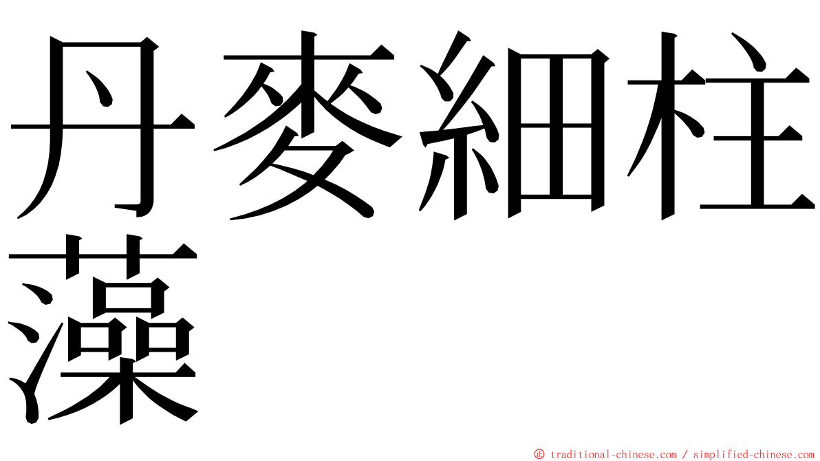 丹麥細柱藻 ming font