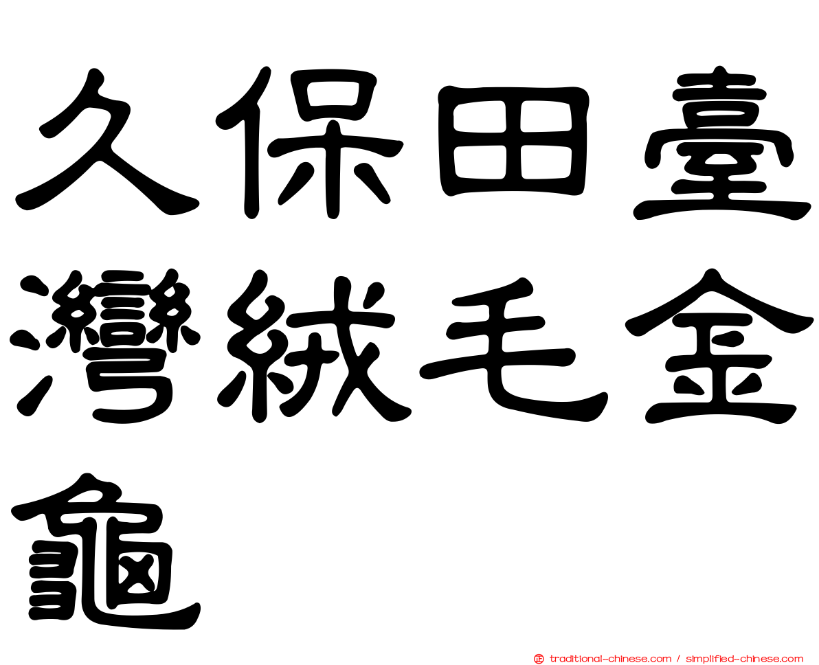 久保田臺灣絨毛金龜