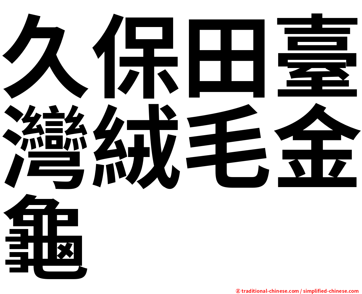 久保田臺灣絨毛金龜