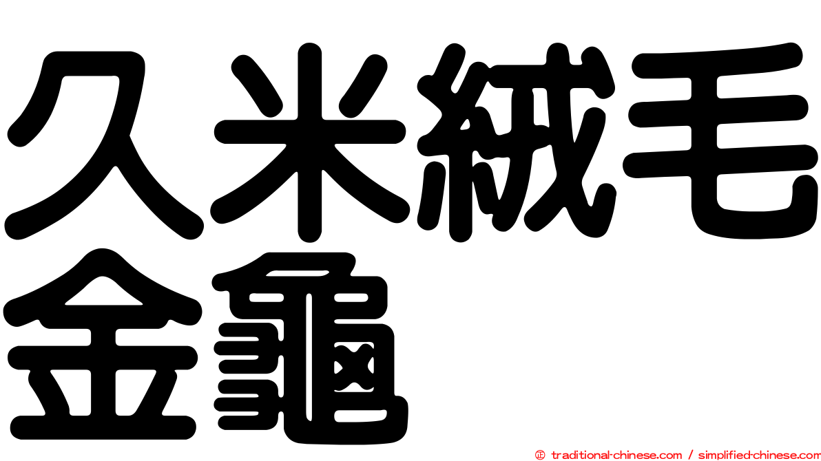 久米絨毛金龜